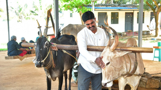 The Science Behind Bull-Driven Oil
