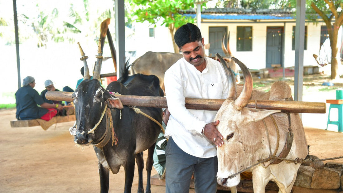 The Science Behind Bull-Driven Oil