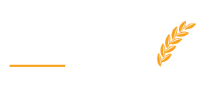 100% Certified Unpolished Organic Millets Store in India | Sri Saraswathi Organics