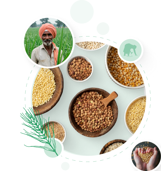 Millet Visual Best Organic Millets Online | Buy Unpolished Millets India