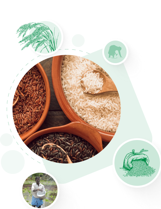 traditional_rice_image